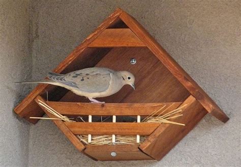 9 best Nest boxes images on Pinterest | Nesting boxes, Birdhouses and ...