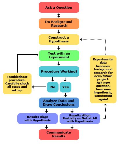 Steps of the Scientific Method