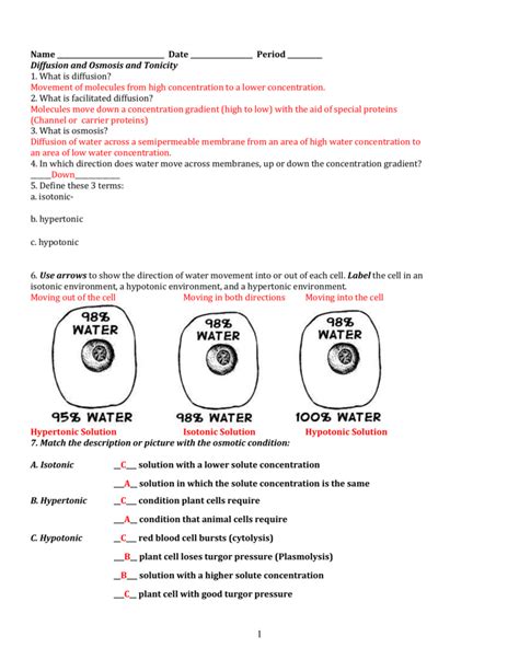 Osmosis And Tonicity Worksheet