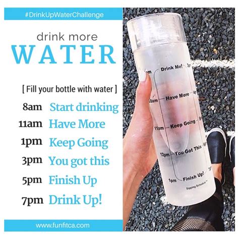 Water Drinking Schedule Printable