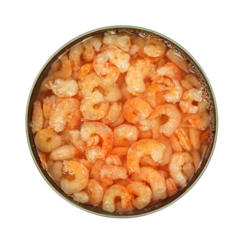 Close View of Tiny Shrimp in Can Stock Photo - Image of food, group: 19994622