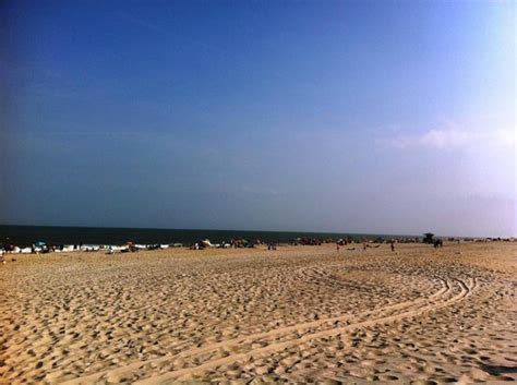 Assateague Beach (Assateague Island) - 2021 All You Need to Know BEFORE You Go (with Photos ...