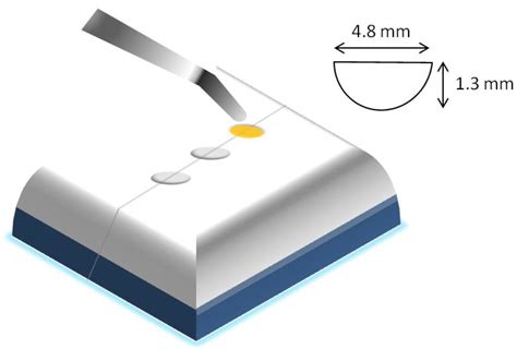 J. Compos. Sci. | Free Full-Text | Polymerization Shrinkage, Hygroscopic Expansion, Elastic ...