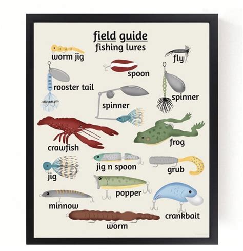 Types of fishing lures for beginners. : coolguides