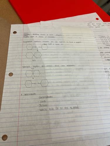 Biochemistry Flashcards | Quizlet