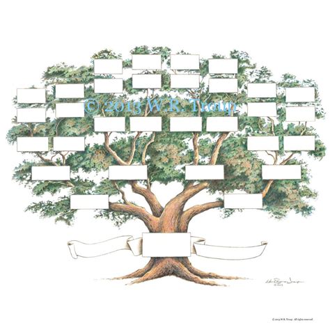 Family Tree Scrapbook Chart 12x12 inch 5-6 generations