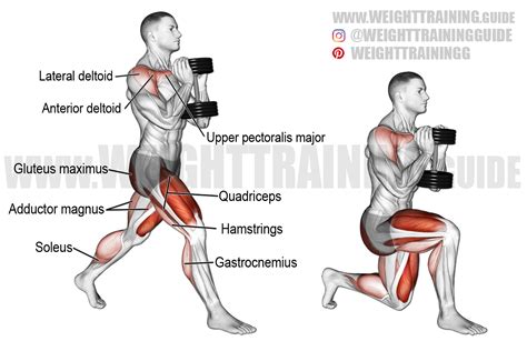 Dumbbell goblet split squat exercise instructions and video