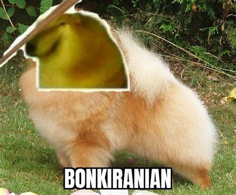 Bonk! - 9GAG