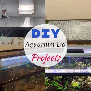 13 DIY Aquarium Lid Projects For Your Assistance - DIYnCrafty