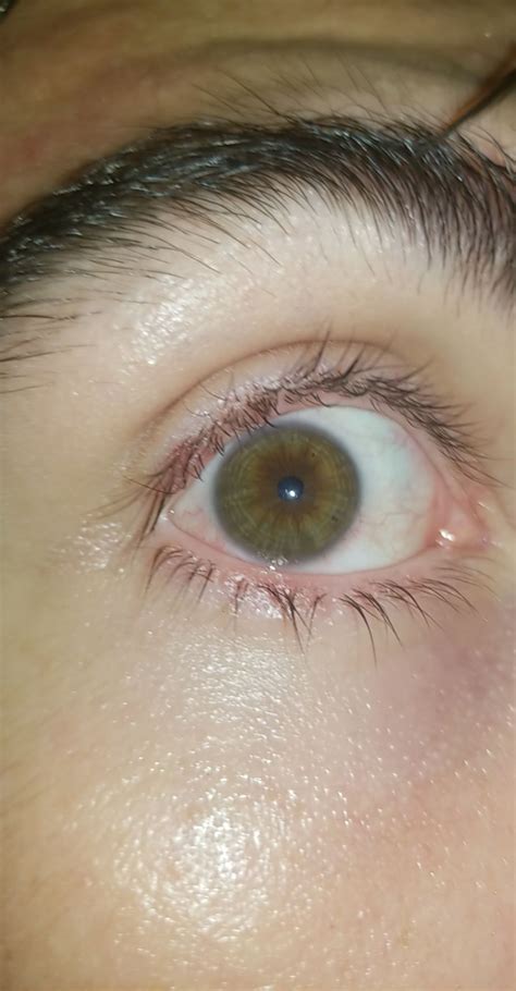 Dark Green Eye