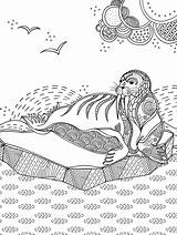 Walrus coloring Pages For Adults sketch template