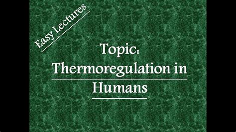 Thermoregulation in Humans (Physiological thermoregulation) - YouTube