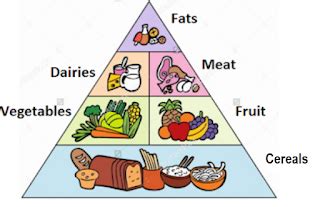 1st grade. Natural Science. Healthy habits 3 JK