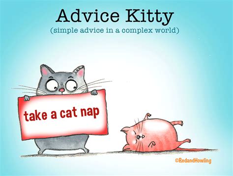 Animated cat nap. Watch it and snooze! Experts say that naps can ...