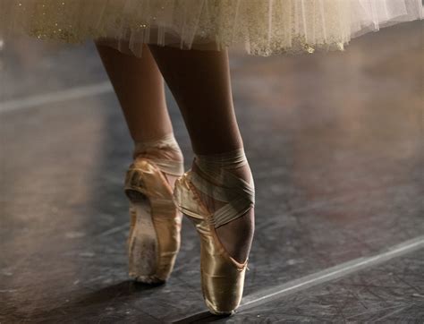 Pointe shoes 【lowest price outlet】 www.fijigas.com.fj