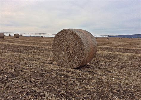 Hay,bale,farm,agriculture,field - free image from needpix.com