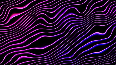 Abstract wavy lines background looped animation. Bright purple colors ...