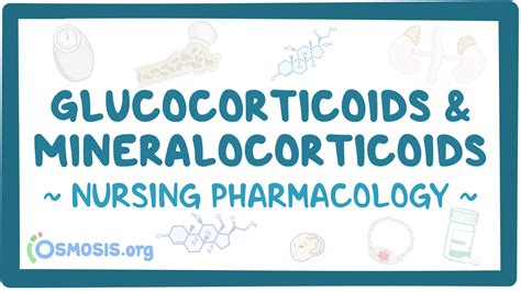 Glucocorticoids & Mineralocorticoids: Video, Causes, & Meaning | Osmosis