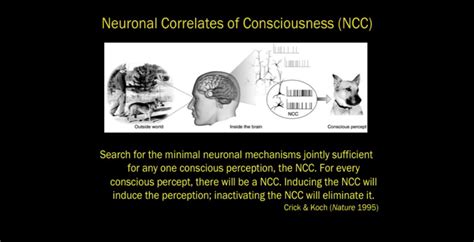 3.1 The Neural Correlates of Consciousness - World Science U