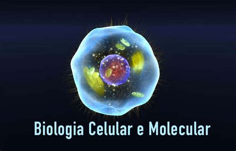 Biologia celular genética – Trabalho de formatura