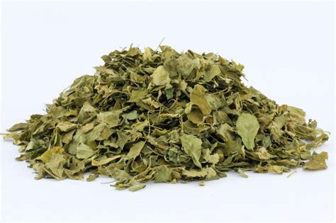 Jual Daun Kelor Kering ( Moringa Dried Leaves ) - Sosrait by Toya Konsep Alam | Ralali.com