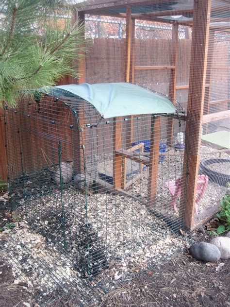 Christey's Illinois Garden Coop Chicken Coop with Eglu Cube Henhouse | The Garden Coop