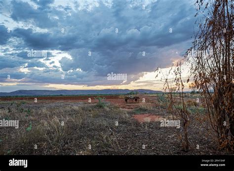 Farm field at sunset time Stock Photo - Alamy