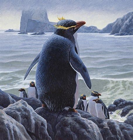 Discover the 51 Extinct Penguin Species