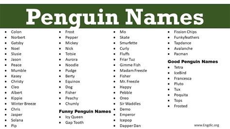 350+ Penguin Names | Penguin names, Penguins, Penguins funny