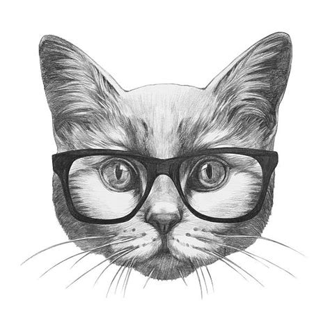 Cat Wearing Glasses Illustrations, Royalty-Free Vector Graphics & Clip ...