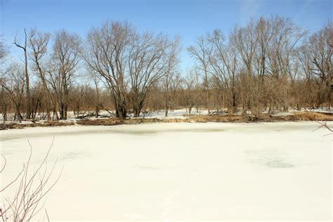 Looking across the river at Minnesota Valley State Park, Minnesota image - Free stock photo ...