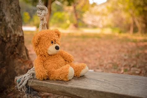 Close-Up Photography of Teddy Bear on Wooden Swing · Free Stock Photo