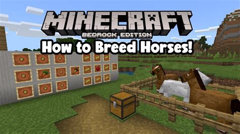 Simple Horse Breeding Tutorial-Minecraft - YouTube