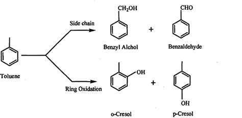 CN101786943A - Catalytic synthesis method for preparing cresol by ...