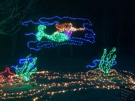 Norfolk Botanical Gardens Lights | Fasci Garden