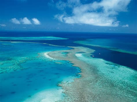 Sustaining the Great Barrier Reef - Swain Destinations Travel Blog