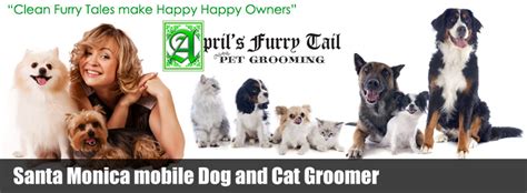 Santa Monica mobile Dog and Cat Groomer $10 Off