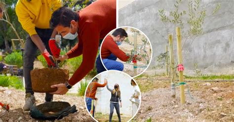 WATCH: Lovin Malta Celebrates Its Fifth Birthday By Planting Five Trees ...