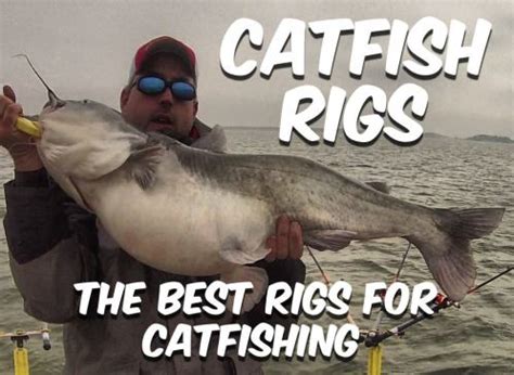 Catfish Rigs: The Best Rigs For Catfishing