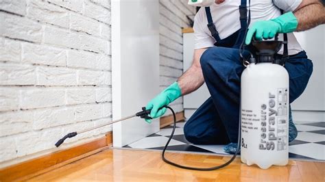 Pest Control Companies: What Exterminators Do & When You Need Them - HomeAdvisor