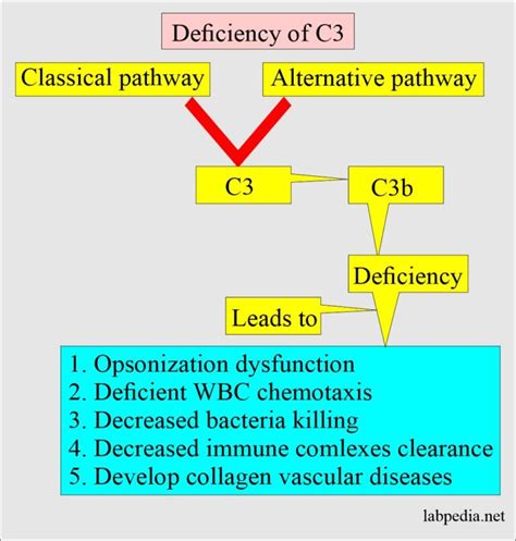 Complement C 3, Complement C 3 level (C3 Assay)