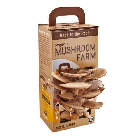 Back to the Roots Mushroom Farm Kit-MUSHKIT1 - The Home Depot