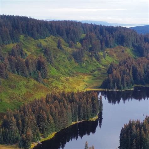 Meet Afognak Forest, Sendle’s latest carbon offset project in Alaska