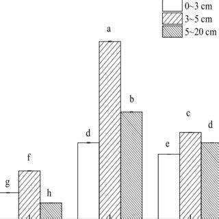 Nitrification activity in different soil layers in all the flooded ...