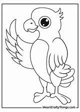Printable Parrots Coloring Pages Updated 2021 sketch template