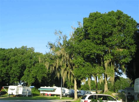 Citrus Hills RV Park, Dover, FL - Passport America Participating Park ...