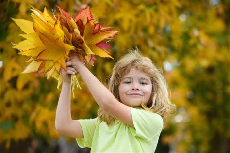 Kids Play with Autumn Fall Leaves in Park. Children Throwing Yellow ...