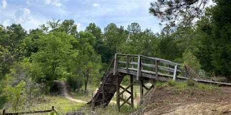 Mountain Biking Ocala Florida And Santos Trailhead - Outside Nomad