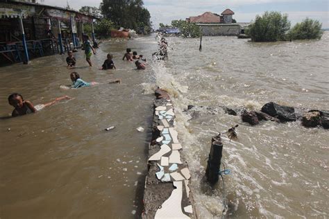 Mengungkap Peran Mangrove dalam Mengatasi Banjir Rob di Pesisir: Kajian Terbaru dan Data ...