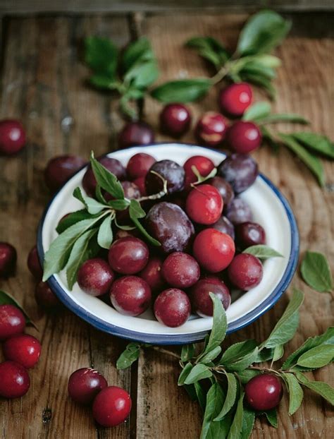 Assorted plum varieties with leaves on … – License image – 11196183 Image Professionals